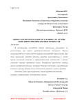 Оценка кредитоспособности заемщика на основе моделирования финансовых процессов