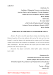 Formation of term risks in technosphere safety