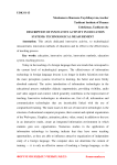 Description of innovative activity in education systems: technological measurement