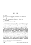 Залёт фламинго Phoenicopterus roseus на север Ростовской области в 1984 году