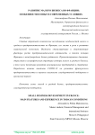 Развитие малого бизнеса во Франции: особенности и опыт в современных условиях