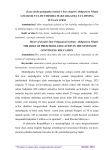 Uzluksiz ta’lim tizimida maktabgacha ta’limning tutgan o’rni