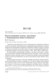 Водоплавающие птицы, зимующие у черноморских берегов Кавказа