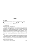 Массовая зимовка зарянки Erithacus rubecula в Новоульяновске в 2018/19 году