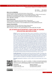 Use of Brazilian geographical indications in tourism: applications and implications