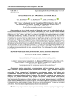 Development of new food products from millet