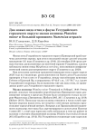 Два новых вида птиц в фауне Уссурийского городского округа: малая колпица Platalea minor и большой кроншнеп Numenius arquata