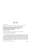 Встреча кавказского улара Tetraogallus caucasicus в Безенгийском ущелье в Кабардино-Балкарии