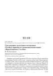 Гнездование мухоловки-пеструшки Ficedula hypoleuca в национальном парке «Красноярские столбы»