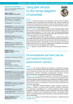 Using plant extracts for the micropropagation of buckwheat