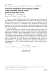 Встречи теньковок Phylloscopus collybita с европейским типом песни на Центральном Алтае