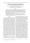 Synthesis of stochastic algorithms for image registration by the criterion of maximum mutual information
