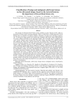 Classification of benign and malignant solid breast lesions on the ultrasound images based on the textural features: the importance of the perifocal lesion area