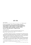 О гнездовании ходулочника Himantopus himantopus, поручейника Tringa stagnatilis и большого веретенника Limosa limosa на юге Центрального Черноземья