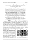 Brain tumor segmentation by deep learning transfer methods using MRI images