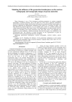 Modeling the influence of the geometrical unsharpness on the neutron radiography and tomography images of porous materials