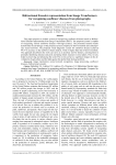 Bidirectional Encoder representation from Image Transformers for recognizing sunflower diseases from photographs