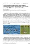О гнездовании канадской казарки Branta canadensis на озере Соколиное на Карельском перешейке (Ленинградская область)