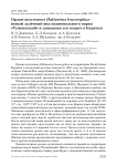 Орлан-долгохвост Haliaeetus leucoryphus – новый залётный вид национального парка «Тункинский» и динамика его встреч в Бурятии