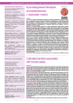 Культивируемые бактерии, ассоциированные с семенами томата