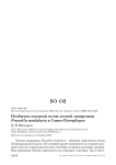 Необычно поздний отлов лесной завирушки Prunella modularis в Санкт-Петербурге