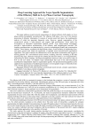 Deep Learning Approach for Layer-Specific Segmentation of the Olfactory Bulb in X-ray Phase-Contrast Tomography