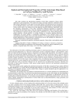 Optical and Electrophysical Properties of Thin Anisotropic Films Based on Carbyne Stabilized by Gold Particles