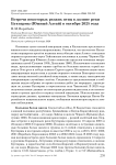 Встречи некоторых редких птиц в долине реки Бухтармы (Южный Алтай) в октябре 2025 года