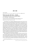 Ушастая сова Asio otus – новый гнездящийся вид дельты реки Урал