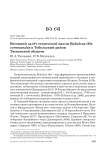 Весенний залёт египетской цапли Bubulcus ibis coromandus в Тобольский район Тюменской области