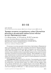 Зимние встречи уссурийского зуйка Charadrius placidus и реликтовой чайки Larus relictus на юге Приморского края