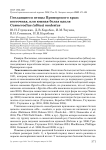 Гнездящиеся птицы Приморского края: восточная, или южная белая цапля Casmerodius (albus) modestus