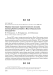 Первые находки туркестанского жулана Lanius phoenicuroides в Волго-Уральском междуречье