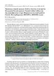 Зимовка серой цапли Ardea cinerea и встречи большой белой цапли Casmerodius albus на Дудергофском озере (Красносельский район Санкт-Петербурга) в 2024/25 и 2025/26 годах