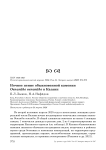 Ночное пение обыкновенной каменки Oenanthe oenanthe в Казани