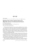 Февральская встреча горной трясогузки Motacilla cinerea в Ленинградской области