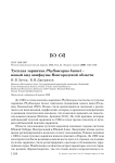 Тусклая зарничка Phylloscopus humei – новый вид авифауны Новгородской области