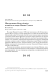 Шилоклювка Recurvirostra avosetta на озере Маныч-Гудило