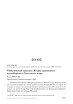 Чешуйчатый крохаль Mergus squamatus на побережье Охотского моря