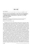 Галка Corvus monedula и грач Corvus frugilegus с аномальным оперением в среднем течении реки Бухтармы