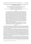 YOLOv10s based human victim detection in cluttered urban environments with a crawler type rescue robot