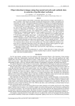 Object detection in images using deep neural networks and synthetic data in scenarios of partial object occlusion