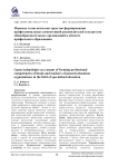 Игровые технологии как средство формирования профессиональных компетенций руководителей и педагогов общеобразовательных организаций в области профильного образования