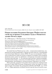 Новая колония большого баклана Phalacrocorax carbo на островах Сельдяные Луды в Онежском заливе Белого моря