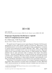 Бородач Gypaetus barbatus в горной части Ставропольского края