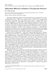 Просянка Miliaria calandra в Рязанской области