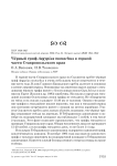 Чёрный гриф Aegypius monachus в горной части Ставропольского края