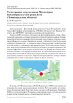 Регистрация ходулочника Himantopus himantopus в устье реки Луги (Ленинградская область)
