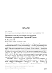 Размножение мухоловки-пеструшки Ficedula hypoleuca на Среднем Урале