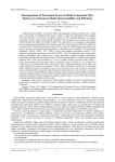 Decomposition of Perceptual Scores in Multi-Component IQA: Pathways to Enhanced Model Interpretability and Efficiency